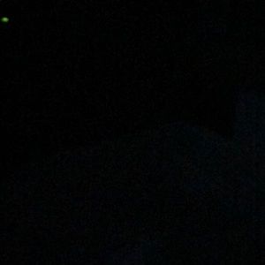 Meet your Posher, Peggy